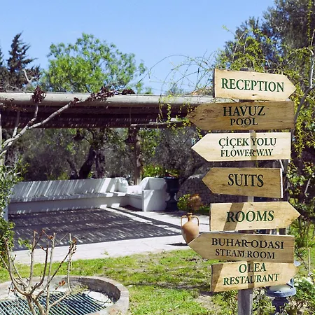 Olive Farm Of (adults Only) ホテル 2*