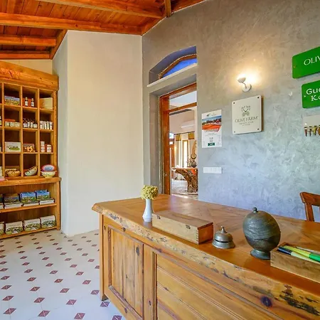 Olive Farm Of (adults Only) דטקה