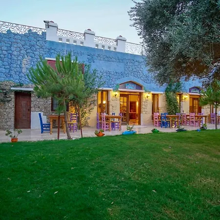 Olive Farm Of (adults Only) דטקה