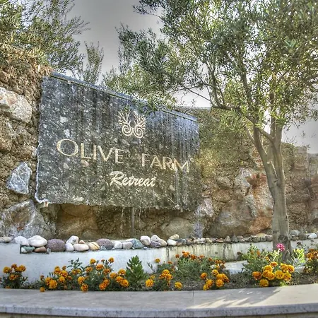 Olive Farm Of (adults Only) 2* ダッチャ