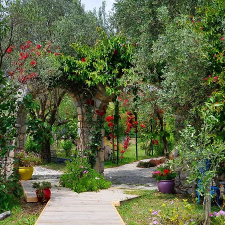 Olive Farm Of (adults Only) 2*