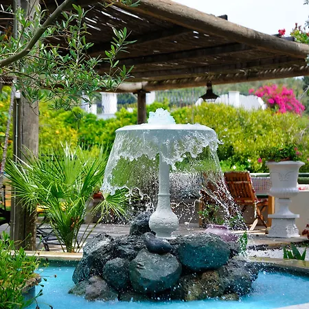 מלון Olive Farm Of (adults Only) 2*