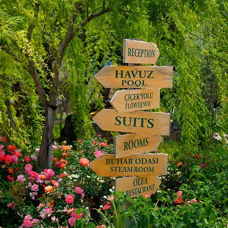 Olive Farm Of (adults Only) ホテル 2*