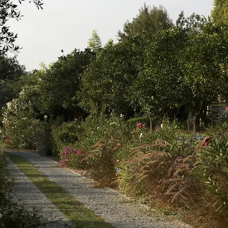 Olive Farm Of (adults Only) מלון