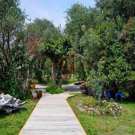 מלון Olive Farm Of (adults Only) 2*