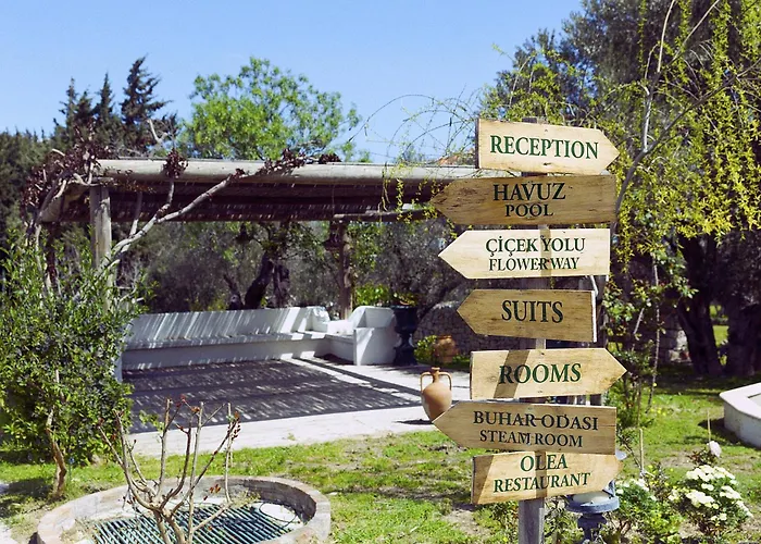 Olive Farm Of (adults Only) Hotel 2*