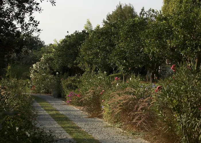 Olive Farm Of (adults Only) Hotel