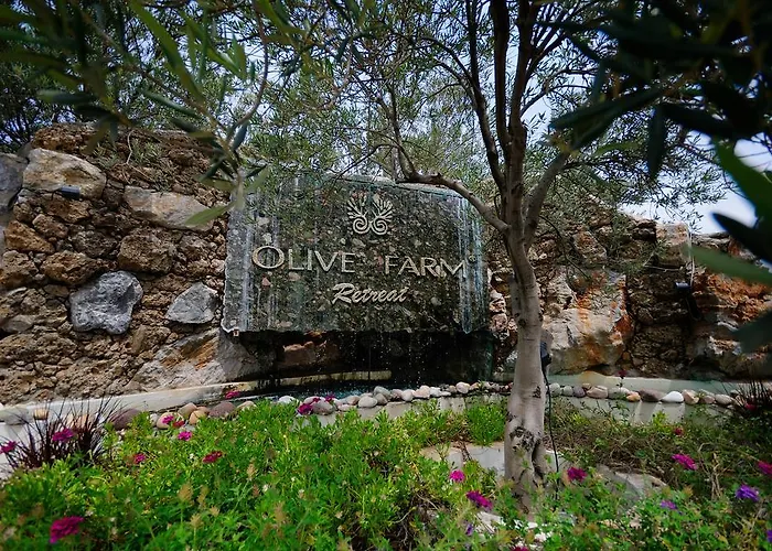 Olive Farm Of (adults Only) Datça