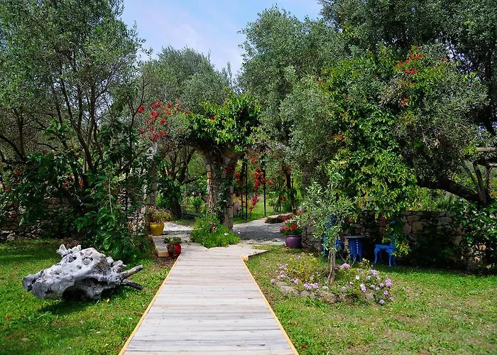 Hotel Olive Farm Of (adults Only) 2*