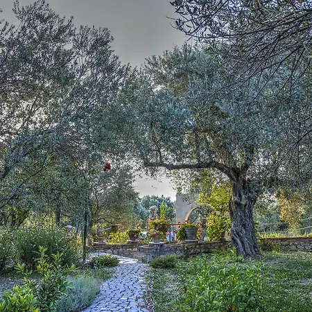 Olive Farm Of (adults Only) Hotel 2*