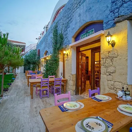 Olive Farm Of (adults Only) Hotell