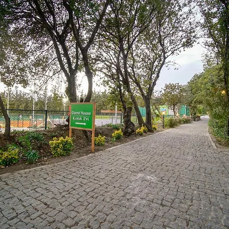 Отель Olive Farm Of (adults Only) 2*