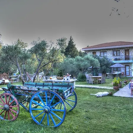 Hotel Olive Farm Of (adults Only)
