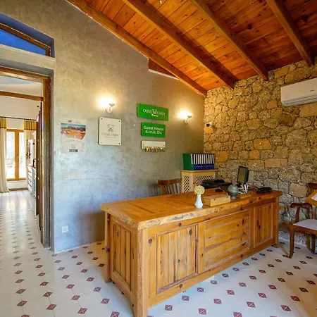 Olive Farm Of (adults Only) Датча