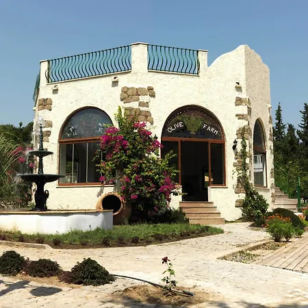 Olive Farm Of (adults Only)