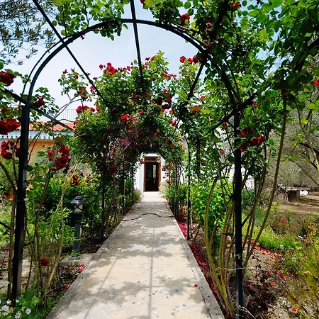 Отель Olive Farm Of (adults Only) 2*