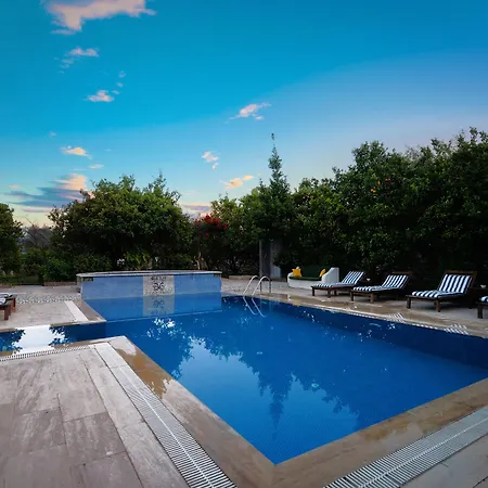 Olive Farm Of (adults Only) Отель 2*