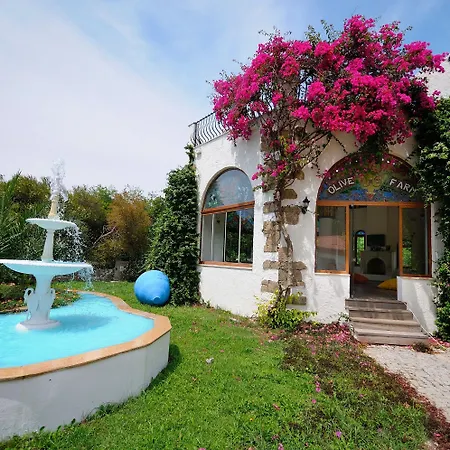Olive Farm Of (adults Only) 2* Datça