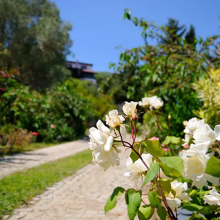 Olive Farm Of (adults Only) 2* Датча