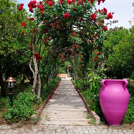 Olive Farm Of (adults Only) Hotel Datça