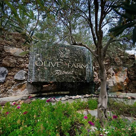 Olive Farm Of (adults Only) Датча