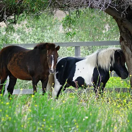 酒店 Olive Farm Of (adults Only)