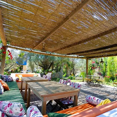 酒店 Olive Farm Of (adults Only) 2*