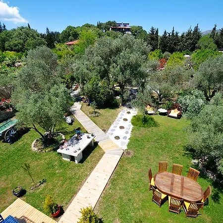 Olive Farm Of (adults Only) 达特恰