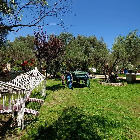 酒店 Olive Farm Of (adults Only) 达特恰