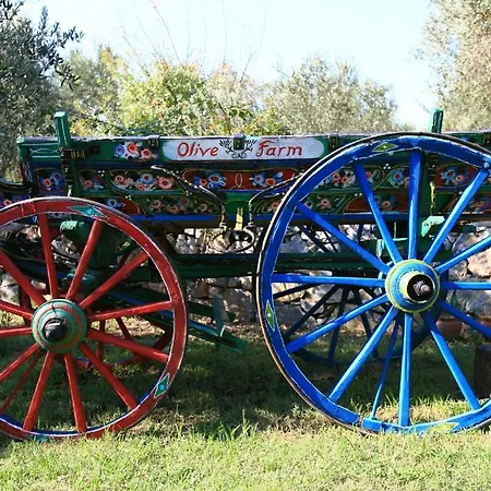 Olive Farm Of (adults Only) Отель 2*