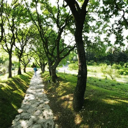 Olive Farm Of (adults Only)