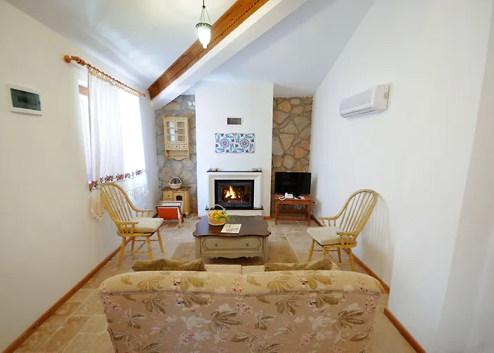 Olive Farm Of (adults Only)