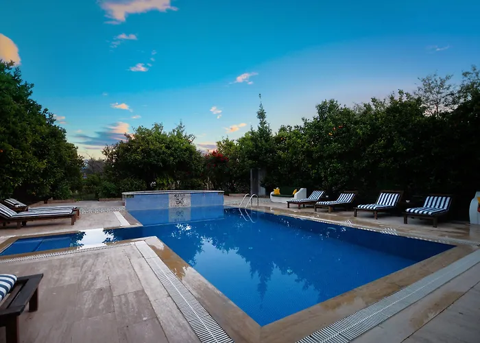 Olive Farm Of (adults Only) Hotel 2*