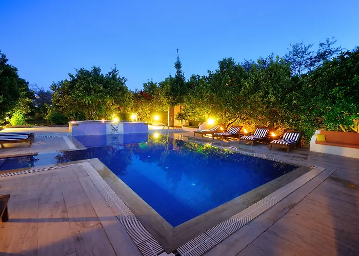 Hotel Olive Farm Of (adults Only) 2*