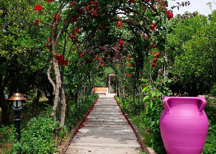 Olive Farm Of (adults Only) Hotel Datça