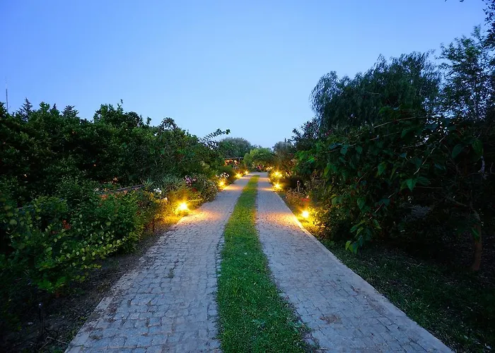 Olive Farm Of (adults Only)